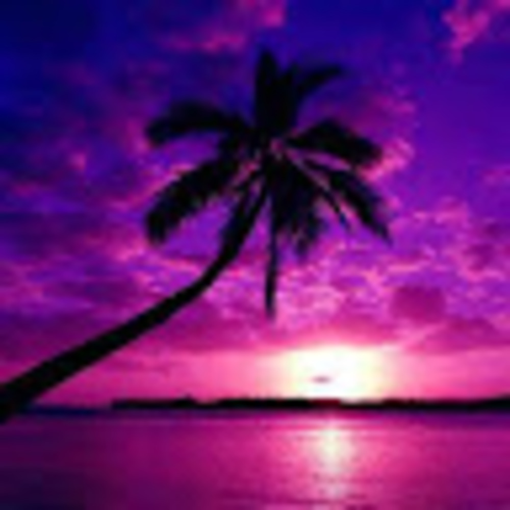 Meet your Posher, Theresa